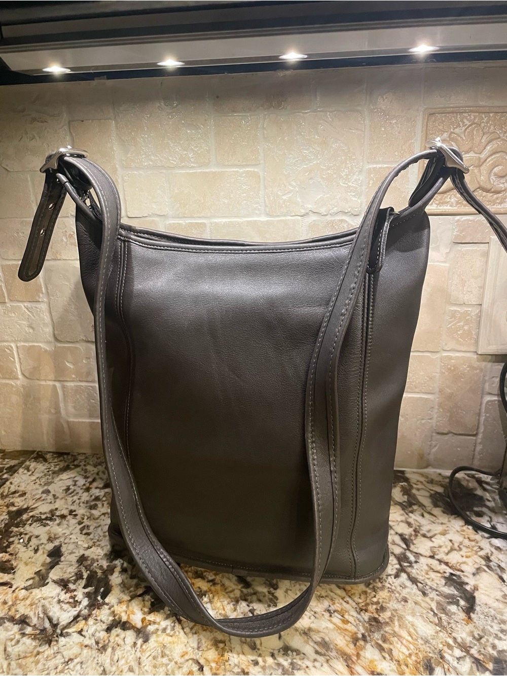 Coach Leather Shoulder Bag in Gray